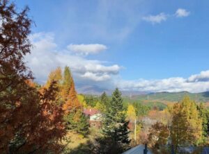 【F.J Forest 蔵王　ガイアリゾート】 サムネイル画像