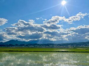 観光税の導入、撮影スポットにネット…世界各地のオーバーツーリズム対策 サムネイル画像