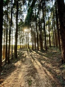 「矛盾を超えて、持続する未来へ」 サムネイル画像