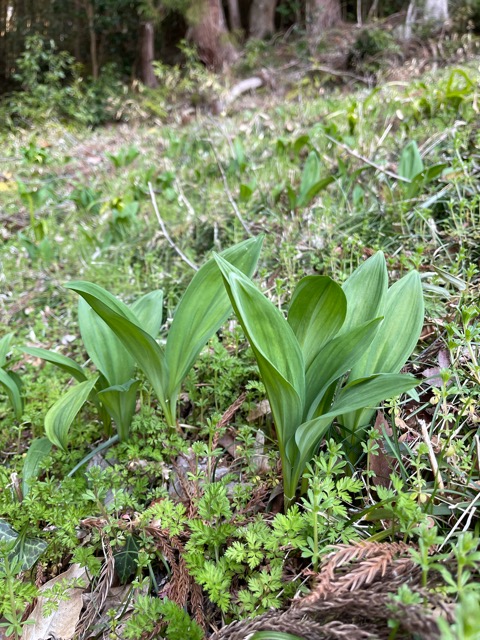ガイアフーズの地域を支える“食”の取り組み画像1