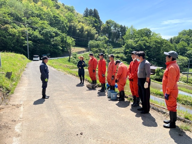 自社農場の田植えを行いました。画像3