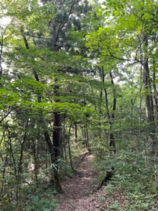 サステナブル旅行への意識調査2024、日本の旅行者の関心は世界を大きく下回る、一方で世界的に疲弊感が伺える結果も サムネイル画像