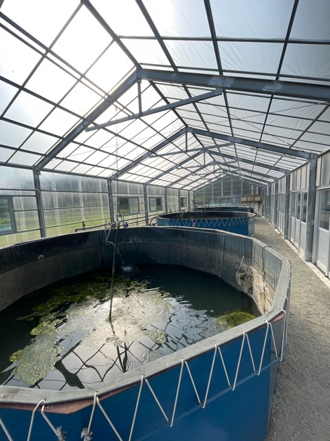 ガイア養殖場・ガイアファーム画像1