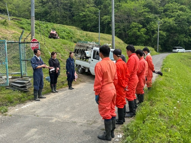 ガイアファーム棚田の田植えが終わりました。画像1