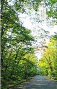 ガイアディベロップメント・地域開発と持続可能なまちづくり サムネイル画像