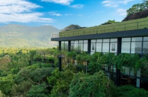 人気の「トロピカル・モダニズム」の背景から考えられること サムネイル画像