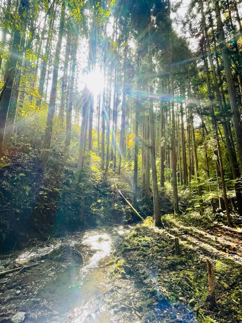 持続可能な開発・ガイアディベロップメント画像2