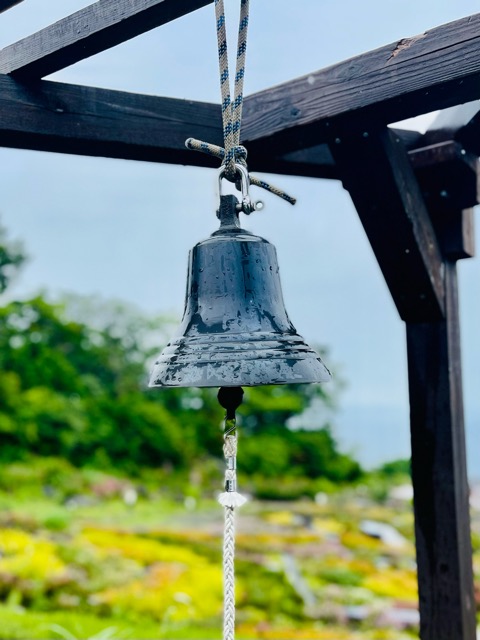 終戦記念日—平和への想い画像3