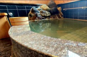 天然温泉付き貸別荘 – Acorn Garden – 蔵王山水苑 – ガイアリゾート サムネイル画像