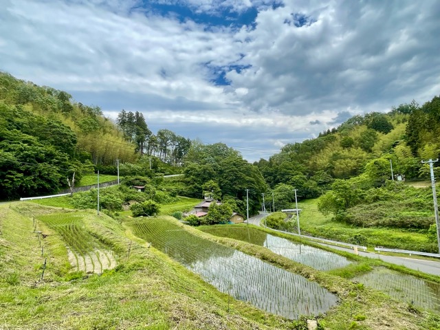 青空の下で、稲が伸びる──ガイアファーム棚田の初夏便り画像1
