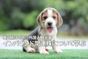 増え続ける訪日外国人観光客、インバウンド関連株について学ぶ サムネイル画像