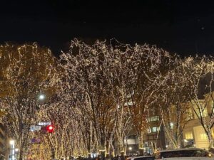 ＜SENDAI光のページェント＞クラファン達成具合で開催規模変更へ　クラファン9月に実施（仙台市） サムネイル画像