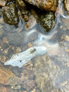 ガイアファーム・田植えの季節がやってきた棚田の恵みとまちづくり サムネイル画像