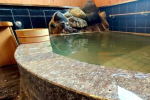 自然と調和する癒しの宿泊体験  ガイアリゾート「Acorn Garden（エイコーンガーデン）」 サムネイル画像