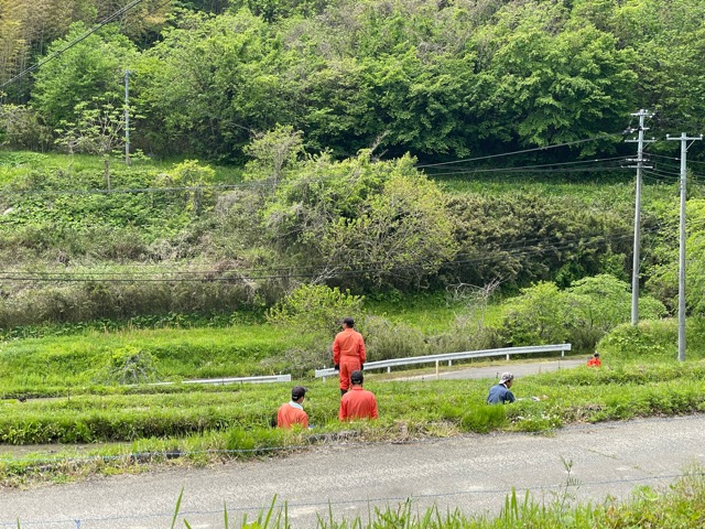 ガイアファーム棚田の田植えが終わりました。画像4
