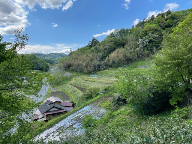 ガイアファーム・田植えの季節がやってきた棚田の恵みとまちづくり画像4