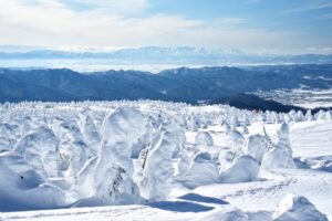 冬の蔵王山で出会う、雪と氷のアート サムネイル画像