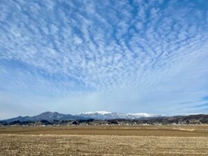 ガイアのミッションに込めた想い。 サムネイル画像