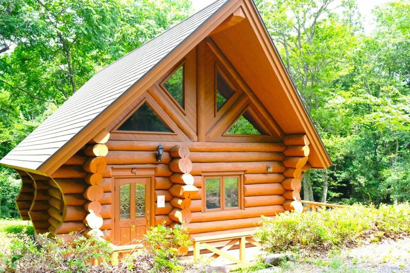 【NJ ZAO ガイアリゾート】画像1