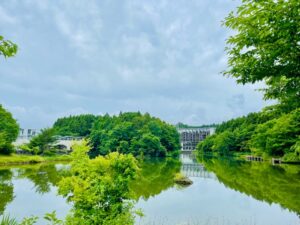 宮城大学とのご縁が新たな未来をひらく——旧我妻家を舞台とした共同研究が始動します。 サムネイル画像