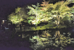 宮城・松島の円通院と松島離宮で紅葉ライトアップ　瑞巌寺は11月1日から サムネイル画像