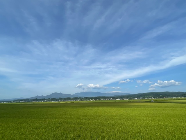 日本の森のスカラベ ― センチコガネとの出会いと地域の「食」を未来へつなぐ挑戦画像2