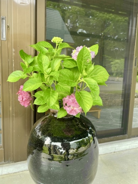 古民家「ひぐらし庵」画像3