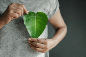 サステナブル購買行動調査2024、社会行動実践度は過去最高値、一方で10代の過半数は「エコ疲れ」も サムネイル画像