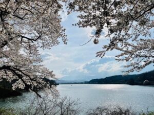 訪日外国人旅行者が訪れる春の人気上昇エリアを分析 サムネイル画像