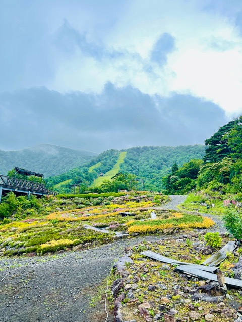 終戦記念日—平和への想い画像2