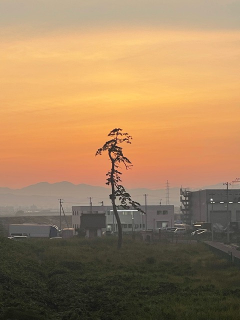 🌅【仙台港に誕生へ】シーサイドガイアリゾート構想画像2