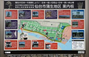 🌊 シーサイドガイアリゾートホテル ― 12月グランドオープンに向けて着実に前進 サムネイル画像