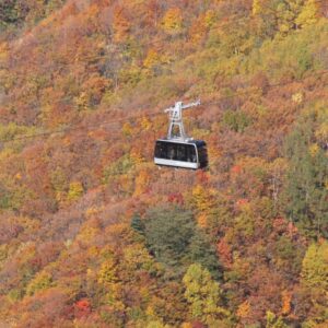 【にっぽんの温泉100選特集】今、注目の温泉地　山形県・蔵王温泉 サムネイル画像