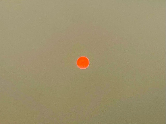 「そしじ」の書に寄せて画像2