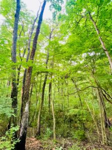 【宮城】話題のスポットが続々。今、最注目の温泉郷 サムネイル画像