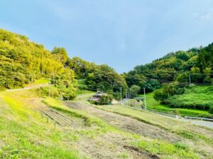 高騰が続く米価。私たちガイアは米の自給を行っております。 サムネイル画像