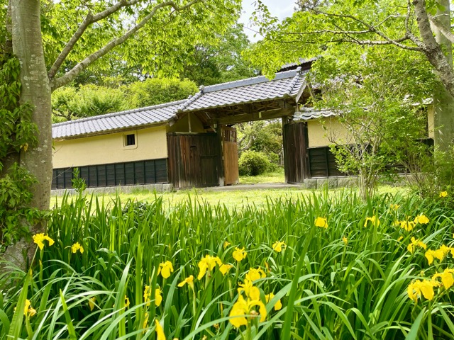 我妻住宅の保全から始まる地域社会の持続可能な未来へ-ガイアグループの挑戦画像2