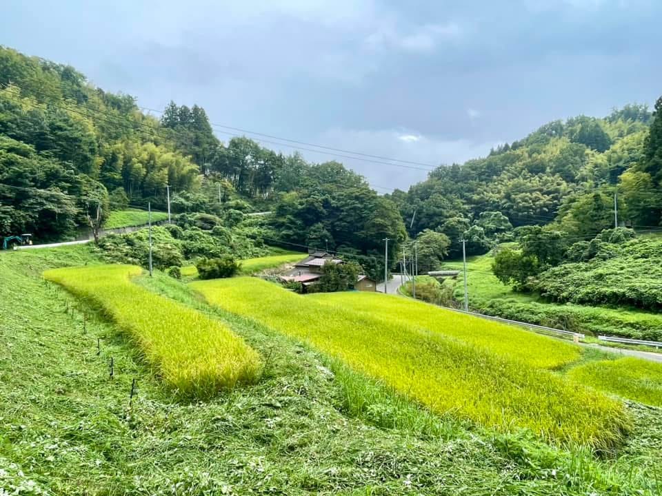 ガイアフーズ・地域の「食」を未来へつなぐ画像2