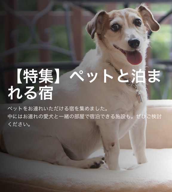 【特集】ペットと泊まれる宿画像1