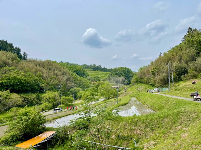 ガイアファーム棚田の田植えが終わりました。画像2