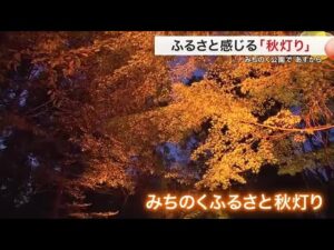 秋を感じる温かな光 「みちのくふるさと秋灯り」１１月１日からみちのく杜の湖畔公園で開始〈宮城〉 サムネイル画像