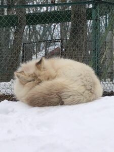 【ガイアリゾート（蔵王）の楽しみ方】観光のご紹介 サムネイル画像