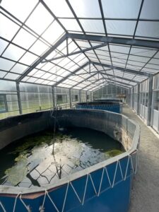 ガイア養殖場・ガイアファーム サムネイル画像