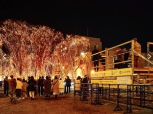 仙台の冬の風物詩「2024 SENDAI光のページェント」が12月6日から、定禅寺通で開催される。 サムネイル画像