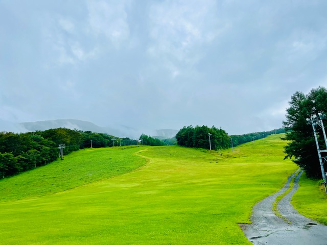 終戦記念日—平和への想い画像1