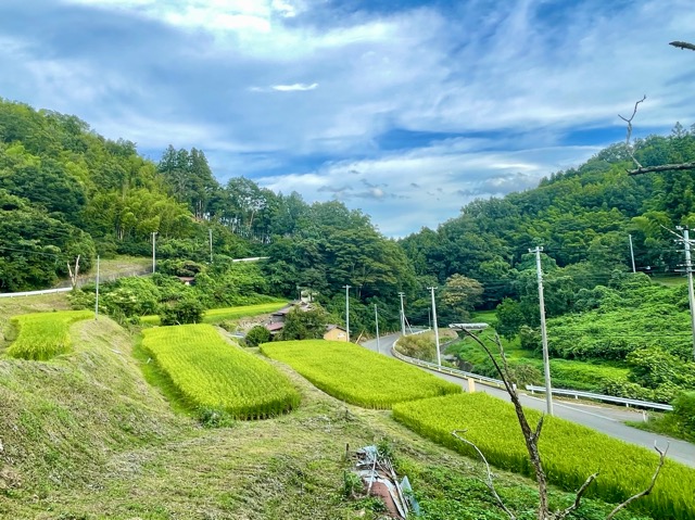 日本の森のスカラベ ― センチコガネとの出会いと地域の「食」を未来へつなぐ挑戦画像1