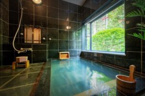 Four Seasons Oasis MIYAGI ZAO – 蔵王山水苑 – ガイアリゾート サムネイル画像
