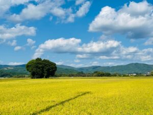 遠野市における視察・意見交換のご報告 サムネイル画像