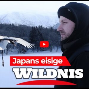 【JNTO（日本政府観光局）インバウンド最新リポート 113】ドイツ訪日旅行が好調　「自然」を起点に地方誘客　JNTOフランクフルト事務所　多田憂哉次長 サムネイル画像
