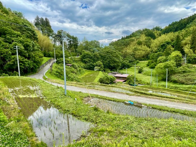 青空の下で、稲が伸びる──ガイアファーム棚田の初夏便り画像3